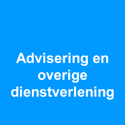 Advisering en overige dienstverlening